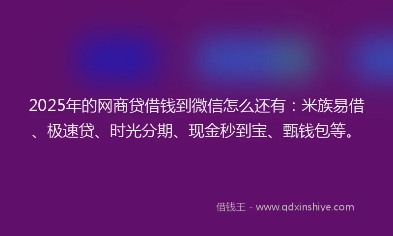 2025年的网商贷借钱到微信怎么还有：米族易借、极速贷、时光分期、现金秒到宝、甄钱包等。