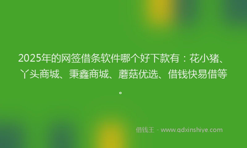 2025年的网签借条软件哪个好下款有：花小猪、丫头商城、秉鑫商城、蘑菇优选、借钱快易借等。