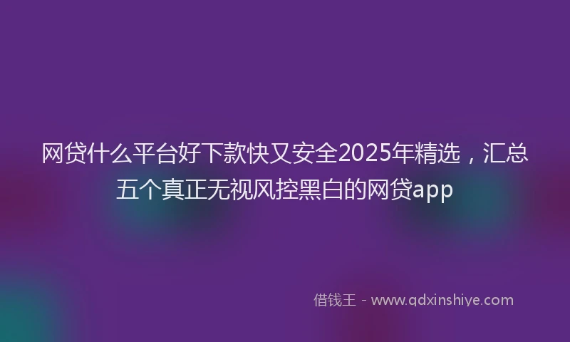 网贷什么平台好下款快又安全2025年精选，汇总五个真正无视风控黑白的网贷app