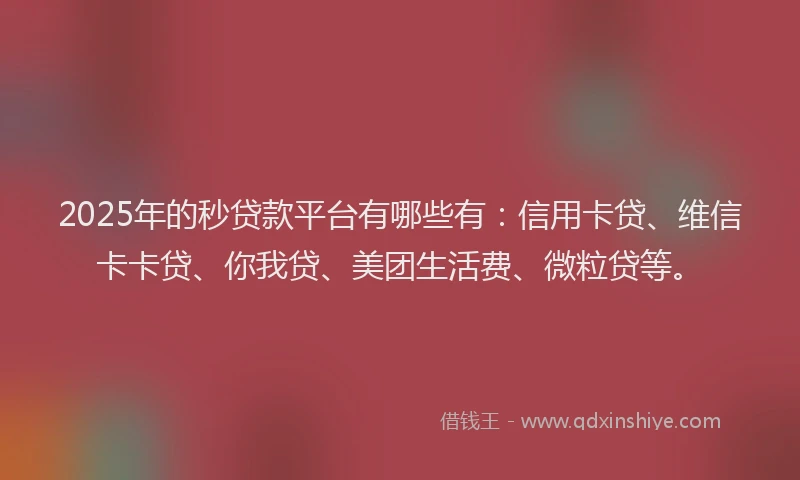 2025年的秒贷款平台有哪些有：信用卡贷、维信卡卡贷、你我贷、美团生活费、微粒贷等。