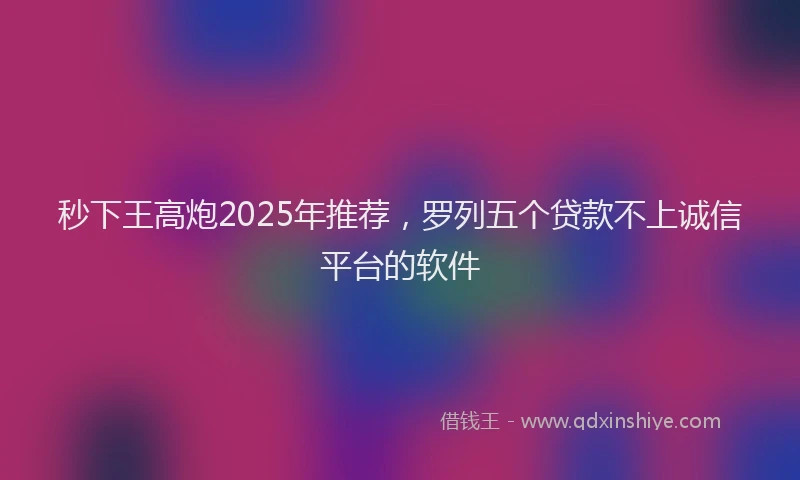秒下王高炮2025年推荐，罗列五个贷款不上诚信平台的软件