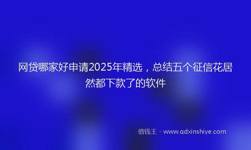 网贷哪家好申请2025年精选，总结五个征信花居然都下款了的软件