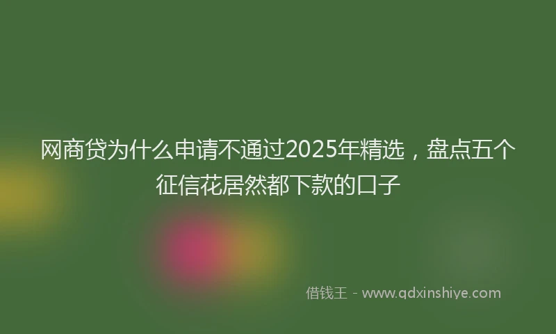 网商贷为什么申请不通过2025年精选，盘点五个征信花居然都下款的口子