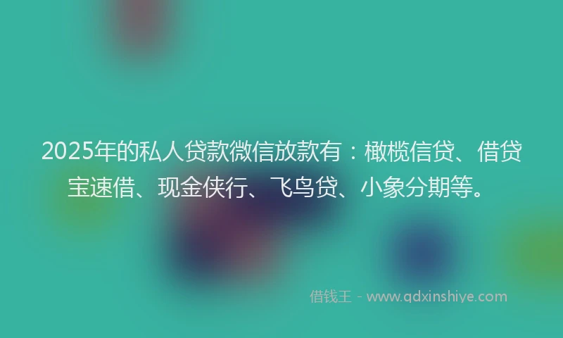 2025年的私人贷款微信放款有：橄榄信贷、借贷宝速借、现金侠行、飞鸟贷、小象分期等。