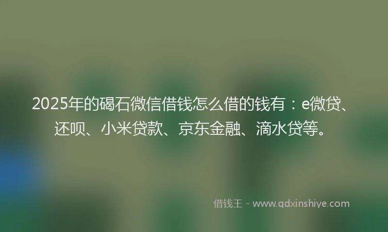 2025年的碣石微信借钱怎么借的钱有：e微贷、还呗、小米贷款、京东金融、滴水贷等。
