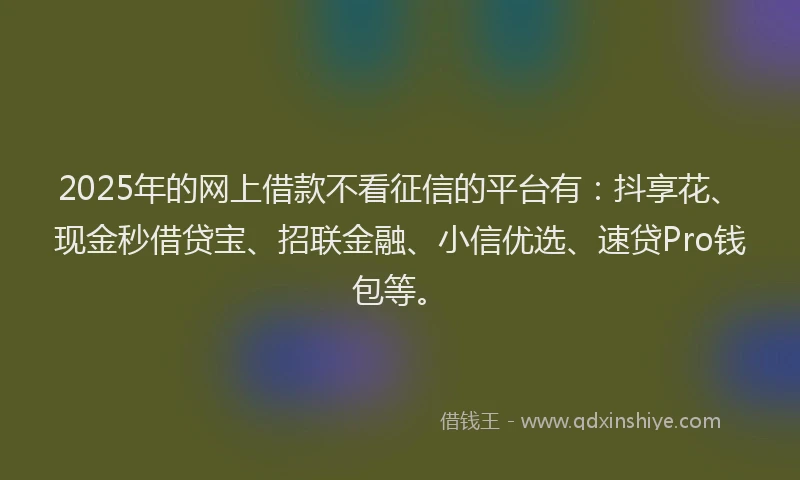 2025年的网上借款不看征信的平台有：抖享花、现金秒借贷宝、招联金融、小信优选、速贷Pro钱包等。