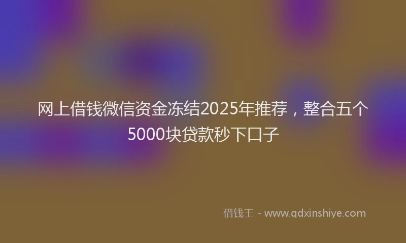 网上借钱微信资金冻结2025年推荐，整合五个5000块贷款秒下口子