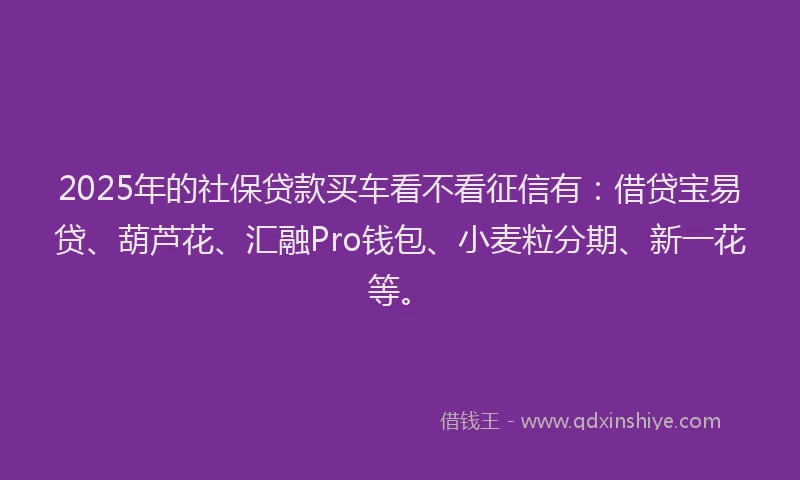 2025年的社保贷款买车看不看征信有：借贷宝易贷、葫芦花、汇融Pro钱包、小麦粒分期、新一花等。