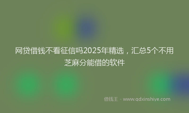 网贷借钱不看征信吗2025年精选，汇总5个不用芝麻分能借的软件