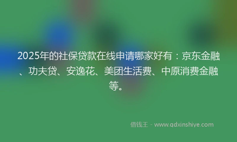 2025年的社保贷款在线申请哪家好有：京东金融、功夫贷、安逸花、美团生活费、中原消费金融等。