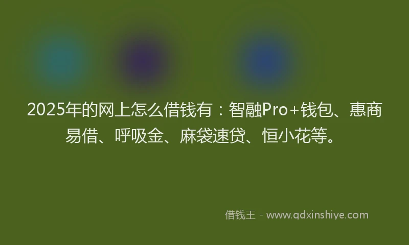 2025年的网上怎么借钱有：智融Pro+钱包、惠商易借、呼吸金、麻袋速贷、恒小花等。