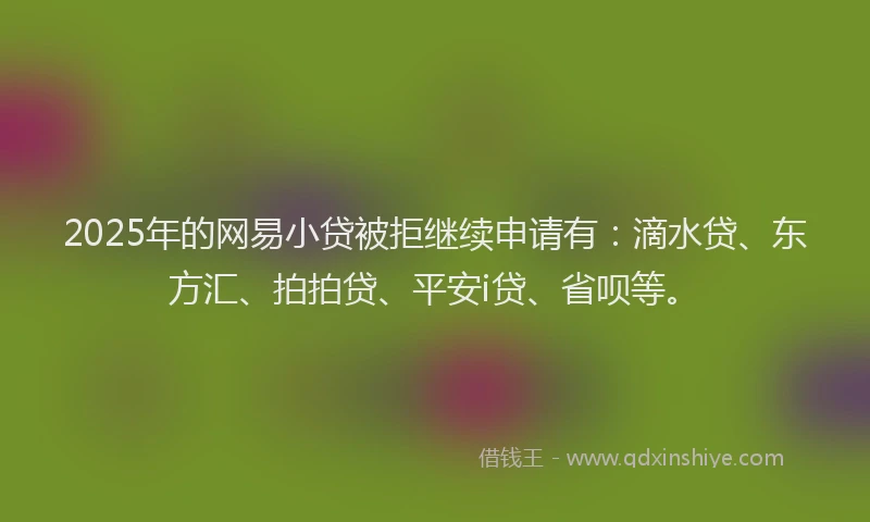 2025年的网易小贷被拒继续申请有：滴水贷、东方汇、拍拍贷、平安i贷、省呗等。