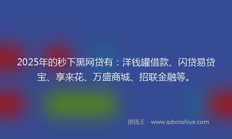 2025年的秒下黑网贷有：洋钱罐借款、闪贷易贷宝、享来花、万盛商城、招联金融等。
