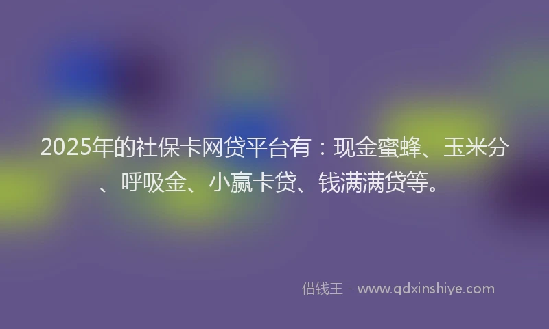 2025年的社保卡网贷平台有：现金蜜蜂、玉米分、呼吸金、小赢卡贷、钱满满贷等。