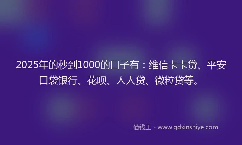 2025年的秒到1000的口子有：维信卡卡贷、平安口袋银行、花呗、人人贷、微粒贷等。