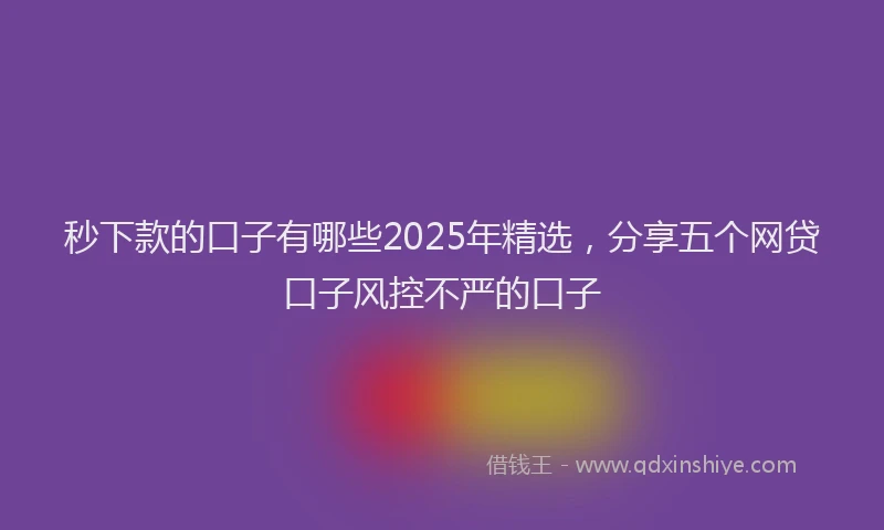秒下款的口子有哪些2025年精选，分享五个网贷口子风控不严的口子
