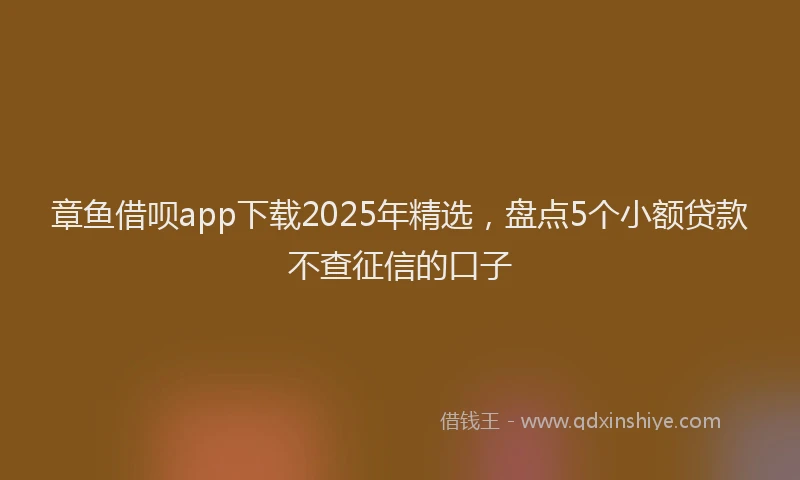 章鱼借呗app下载2025年精选，盘点5个小额贷款不查征信的口子