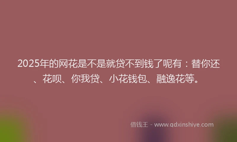 2025年的网花是不是就贷不到钱了呢有：替你还、花呗、你我贷、小花钱包、融逸花等。