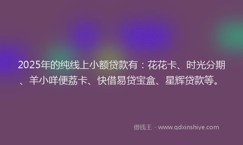 2025年的纯线上小额贷款有：花花卡、时光分期、羊小咩便荔卡、快借易贷宝盒、星辉贷款等。