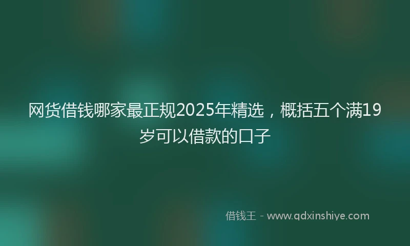 网货借钱哪家最正规2025年精选，概括五个满19岁可以借款的口子