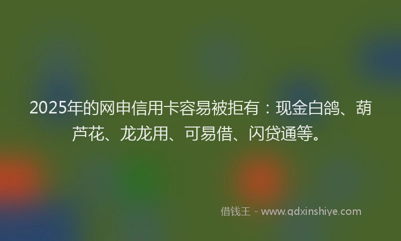 2025年的网申信用卡容易被拒有：现金白鸽、葫芦花、龙龙用、可易借、闪贷通等。