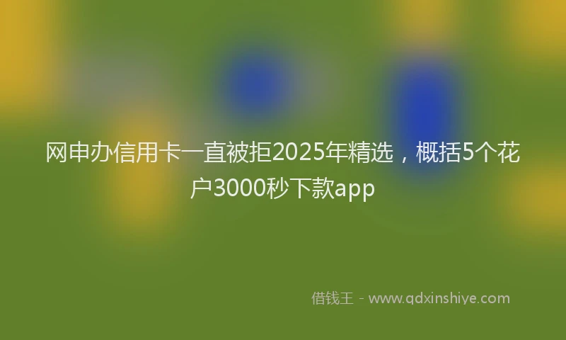 网申办信用卡一直被拒2025年精选，概括5个花户3000秒下款app