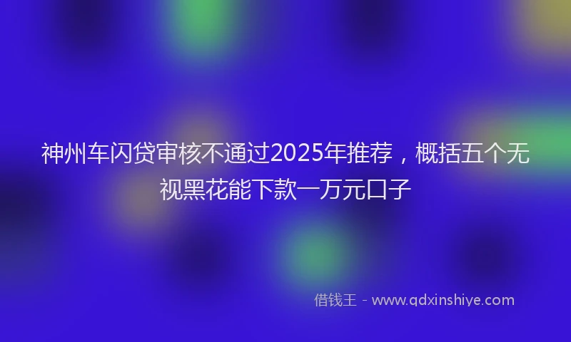 神州车闪贷审核不通过2025年推荐，概括五个无视黑花能下款一万元口子