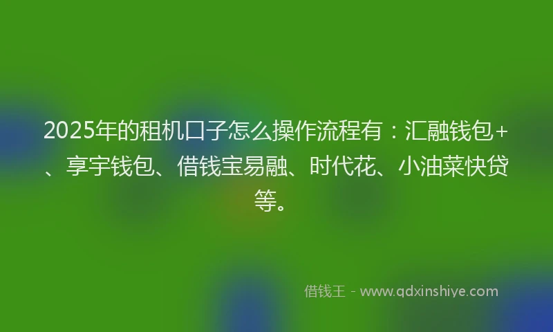 2025年的租机口子怎么操作流程有：汇融钱包+、享宇钱包、借钱宝易融、时代花、小油菜快贷等。