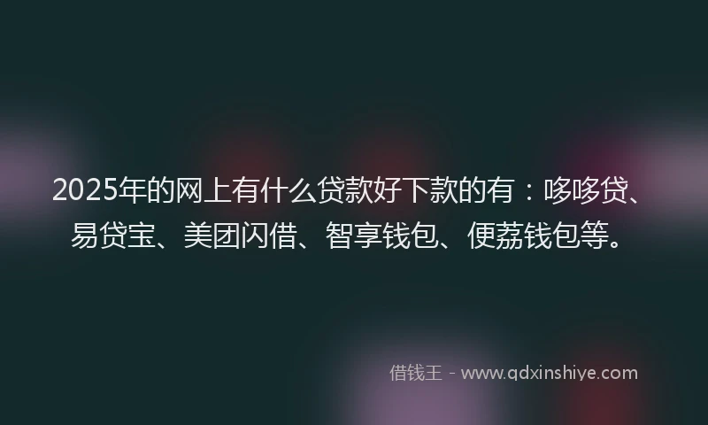 2025年的网上有什么贷款好下款的有：哆哆贷、易贷宝、美团闪借、智享钱包、便荔钱包等。