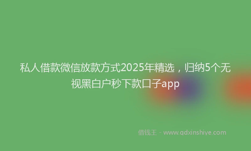 私人借款微信放款方式2025年精选，归纳5个无视黑白户秒下款口子app