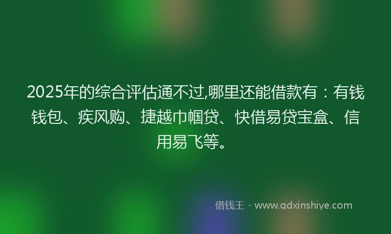 2025年的综合评估通不过,哪里还能借款有：有钱钱包、疾风购、捷越巾帼贷、快借易贷宝盒、信用易飞等。