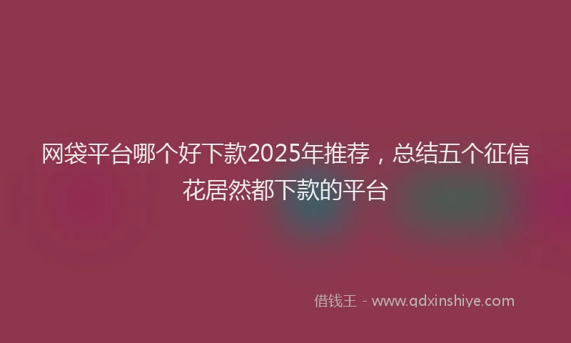 网袋平台哪个好下款2025年推荐，总结五个征信花居然都下款的平台