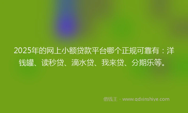 2025年的网上小额贷款平台哪个正规可靠有：洋钱罐、读秒贷、滴水贷、我来贷、分期乐等。
