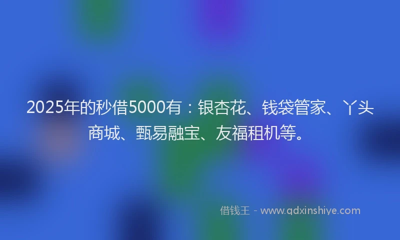 2025年的秒借5000有：银杏花、钱袋管家、丫头商城、甄易融宝、友福租机等。