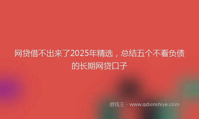 网贷借不出来了2025年精选，总结五个不看负债的长期网贷口子