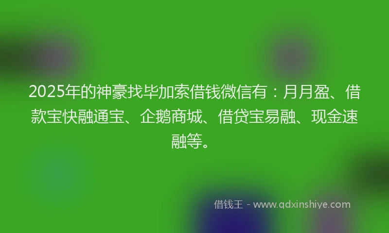 2025年的神豪找毕加索借钱微信有：月月盈、借款宝快融通宝、企鹅商城、借贷宝易融、现金速融等。