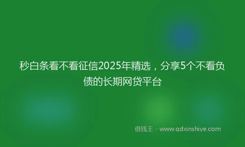 秒白条看不看征信2025年精选，分享5个不看负债的长期网贷平台