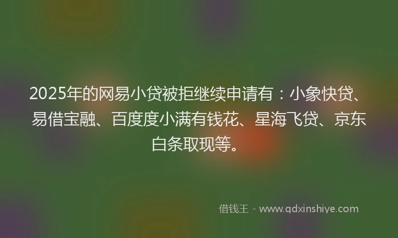 2025年的网易小贷被拒继续申请有：小象快贷、易借宝融、百度度小满有钱花、星海飞贷、京东白条取现等。