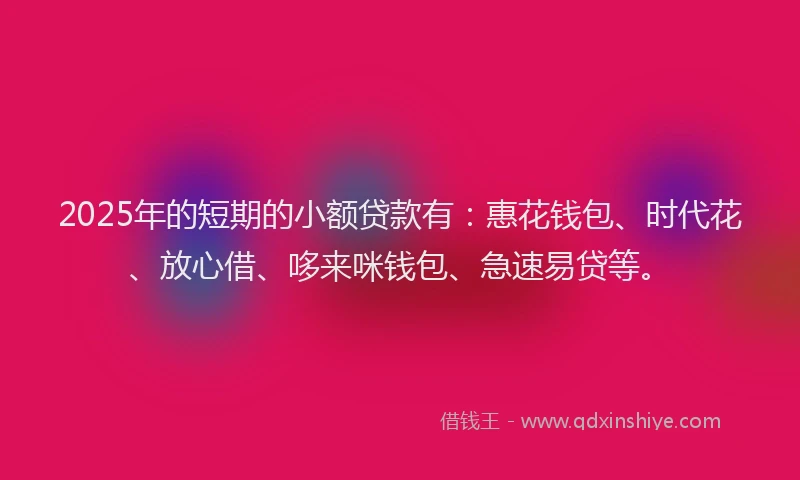 2025年的短期的小额贷款有：惠花钱包、时代花、放心借、哆来咪钱包、急速易贷等。