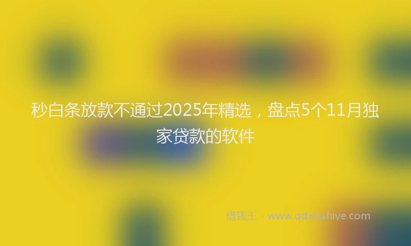 秒白条放款不通过2025年精选，盘点5个11月独家贷款的软件