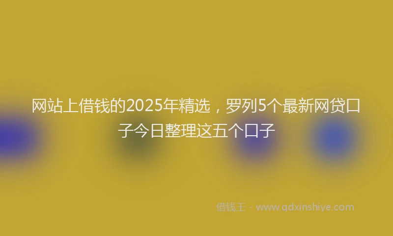 网站上借钱的2025年精选，罗列5个最新网贷口子今日整理这五个口子