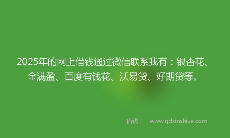 2025年的网上借钱通过微信联系我有：银杏花、金满盈、百度有钱花、沃易贷、好期贷等。
