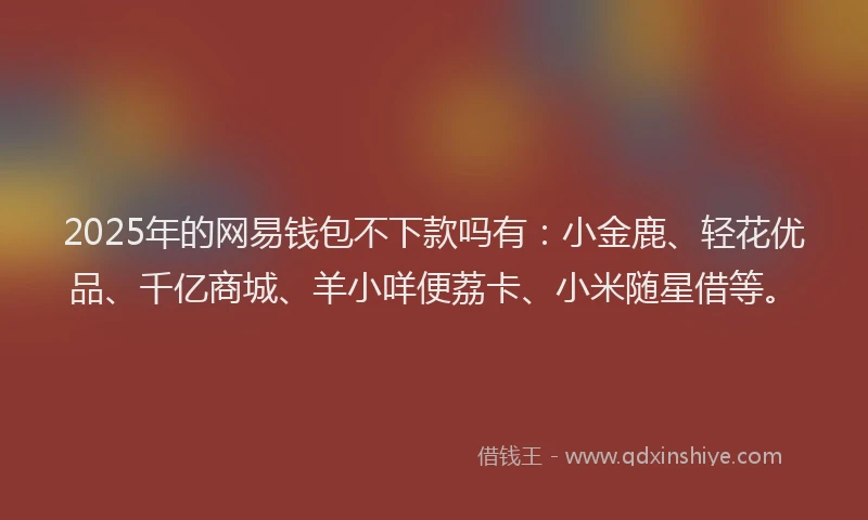 2025年的网易钱包不下款吗有：小金鹿、轻花优品、千亿商城、羊小咩便荔卡、小米随星借等。