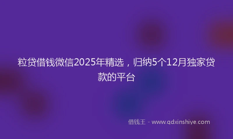 粒贷借钱微信2025年精选，归纳5个12月独家贷款的平台