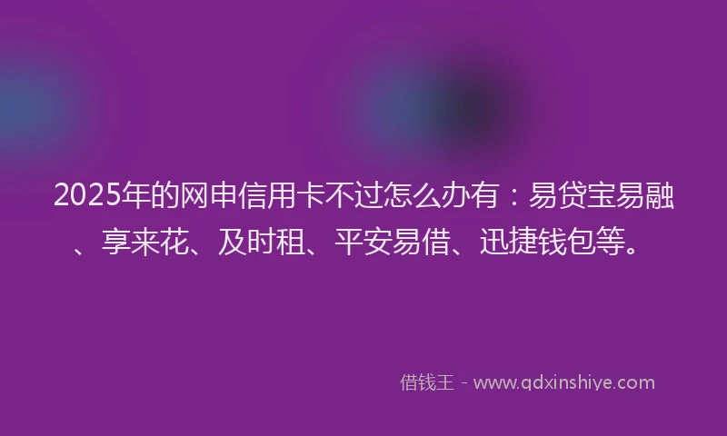 2025年的网申信用卡不过怎么办有：易贷宝易融、享来花、及时租、平安易借、迅捷钱包等。