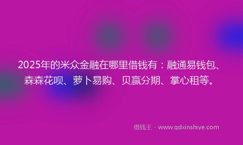 2025年的米众金融在哪里借钱有：融通易钱包、森森花呗、萝卜易购、贝赢分期、掌心租等。
