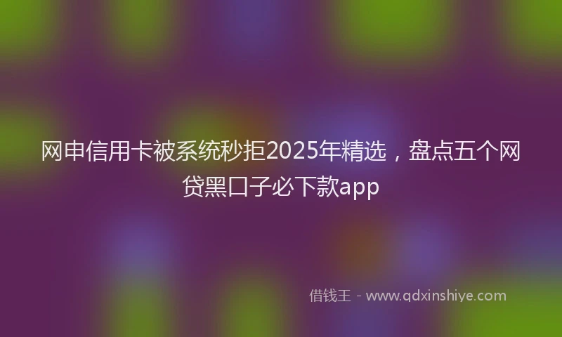 网申信用卡被系统秒拒2025年精选，盘点五个网贷黑口子必下款app