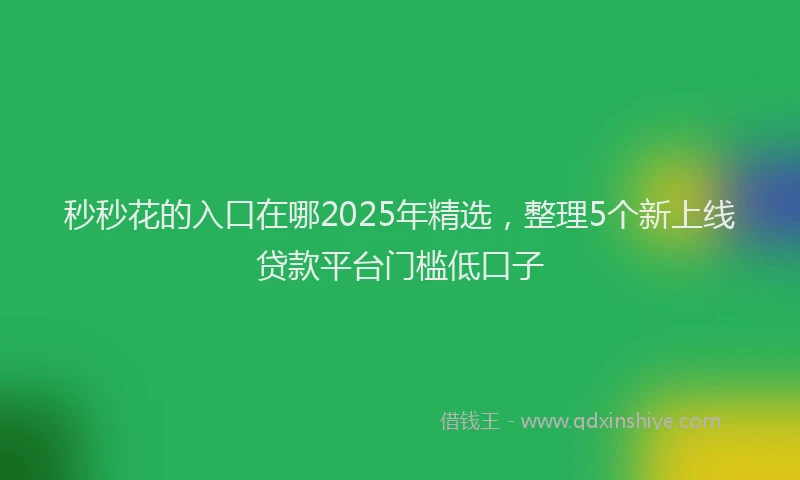 秒秒花的入口在哪2025年精选，整理5个新上线贷款平台门槛低口子