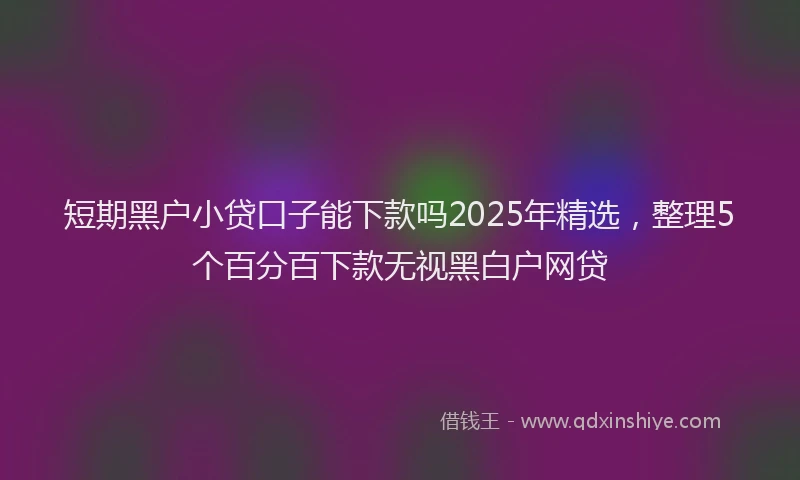 短期黑户小贷口子能下款吗2025年精选，整理5个百分百下款无视黑白户网贷