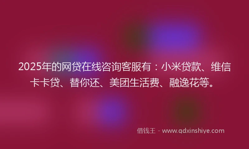2025年的网贷在线咨询客服有：小米贷款、维信卡卡贷、替你还、美团生活费、融逸花等。